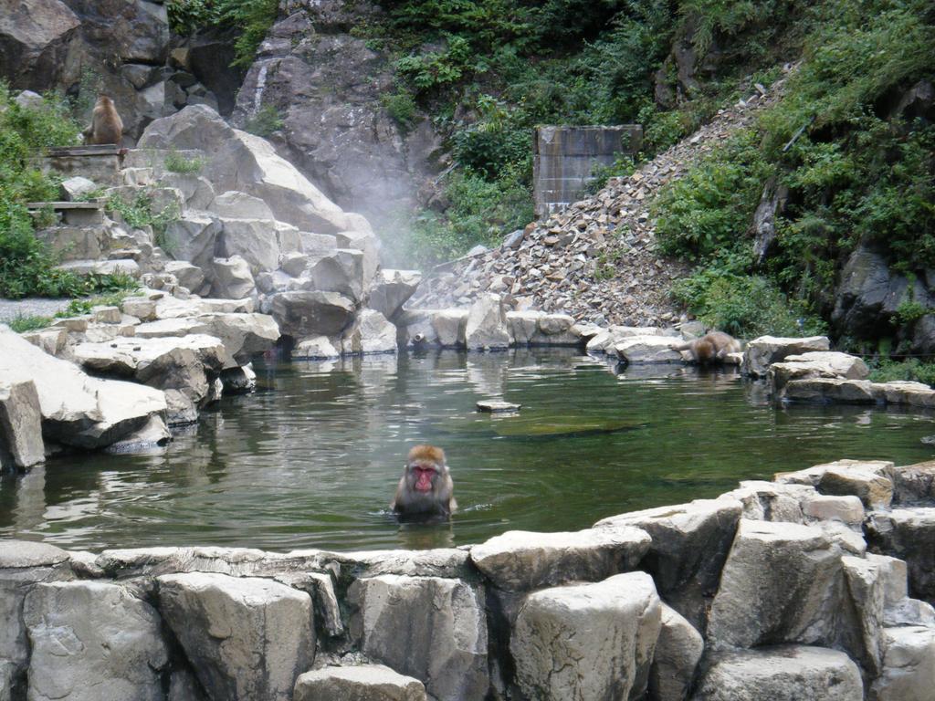 中野市 Madarao Farmヴィラ エクステリア 写真